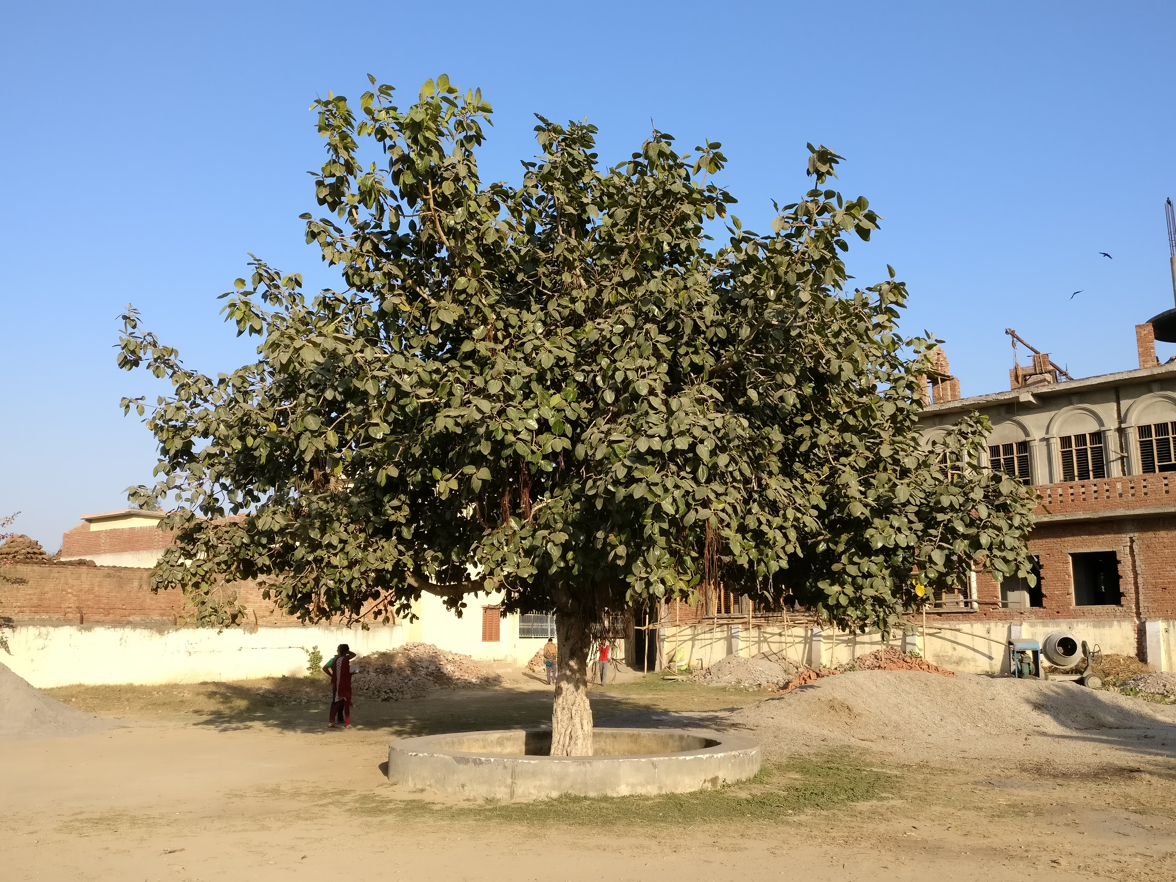 Panchayat meeting place in Sisouli